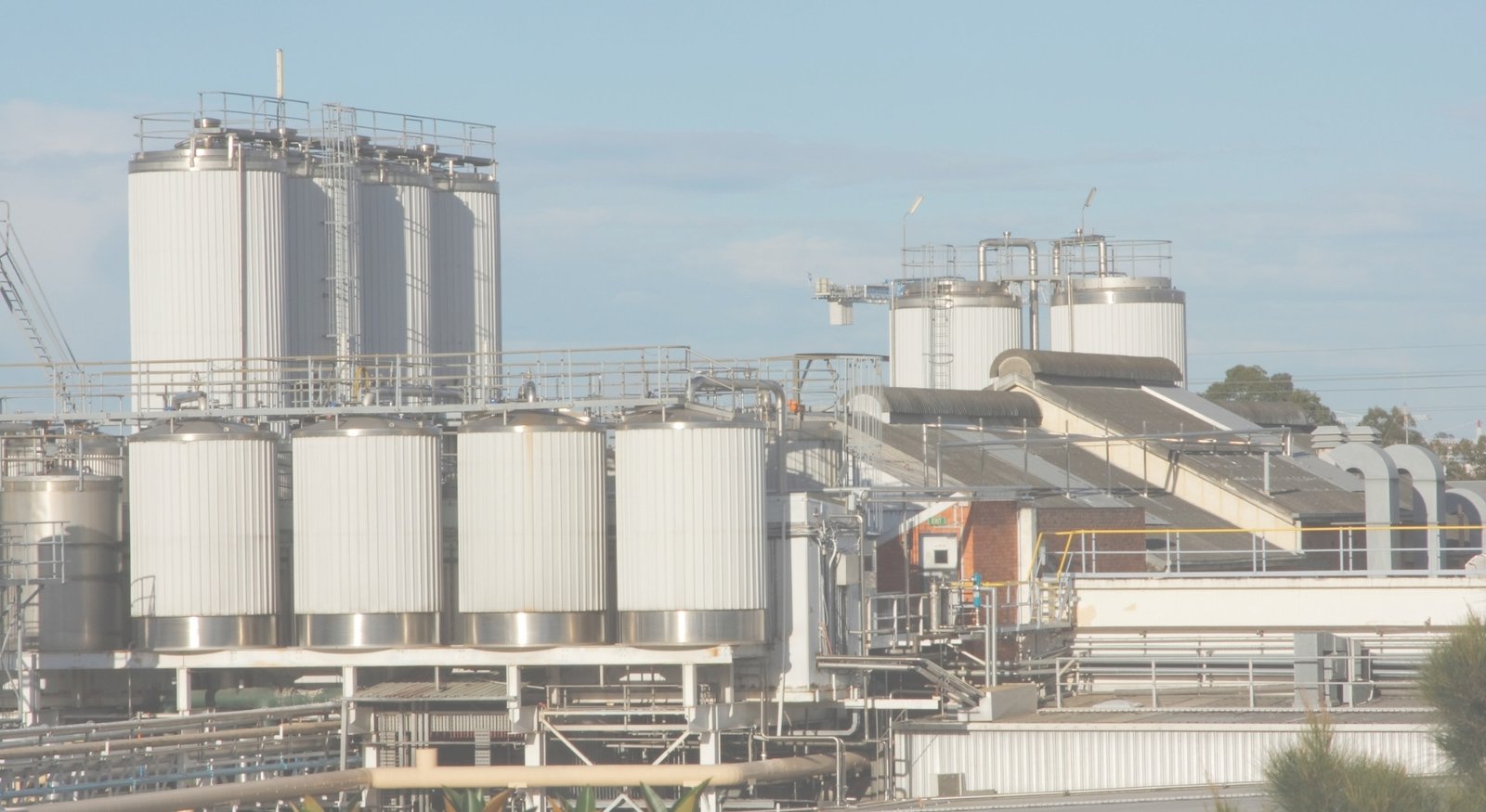 Dairy Industries we served